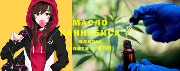 твердый Верхний Тагил