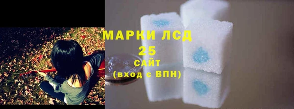 твердый Верхний Тагил