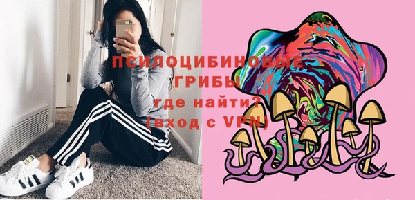 ГАЛЛЮЦИНОГЕННЫЕ ГРИБЫ Слюдянка
