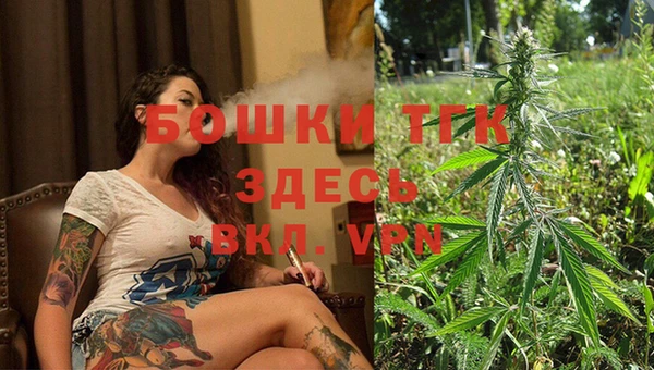 твердый Верхний Тагил