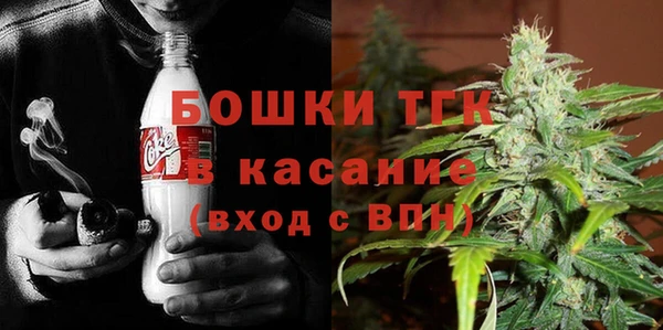 гидра Бородино