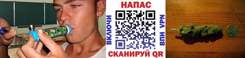 Бошки марихуана ГИДРОПОН Волчанск